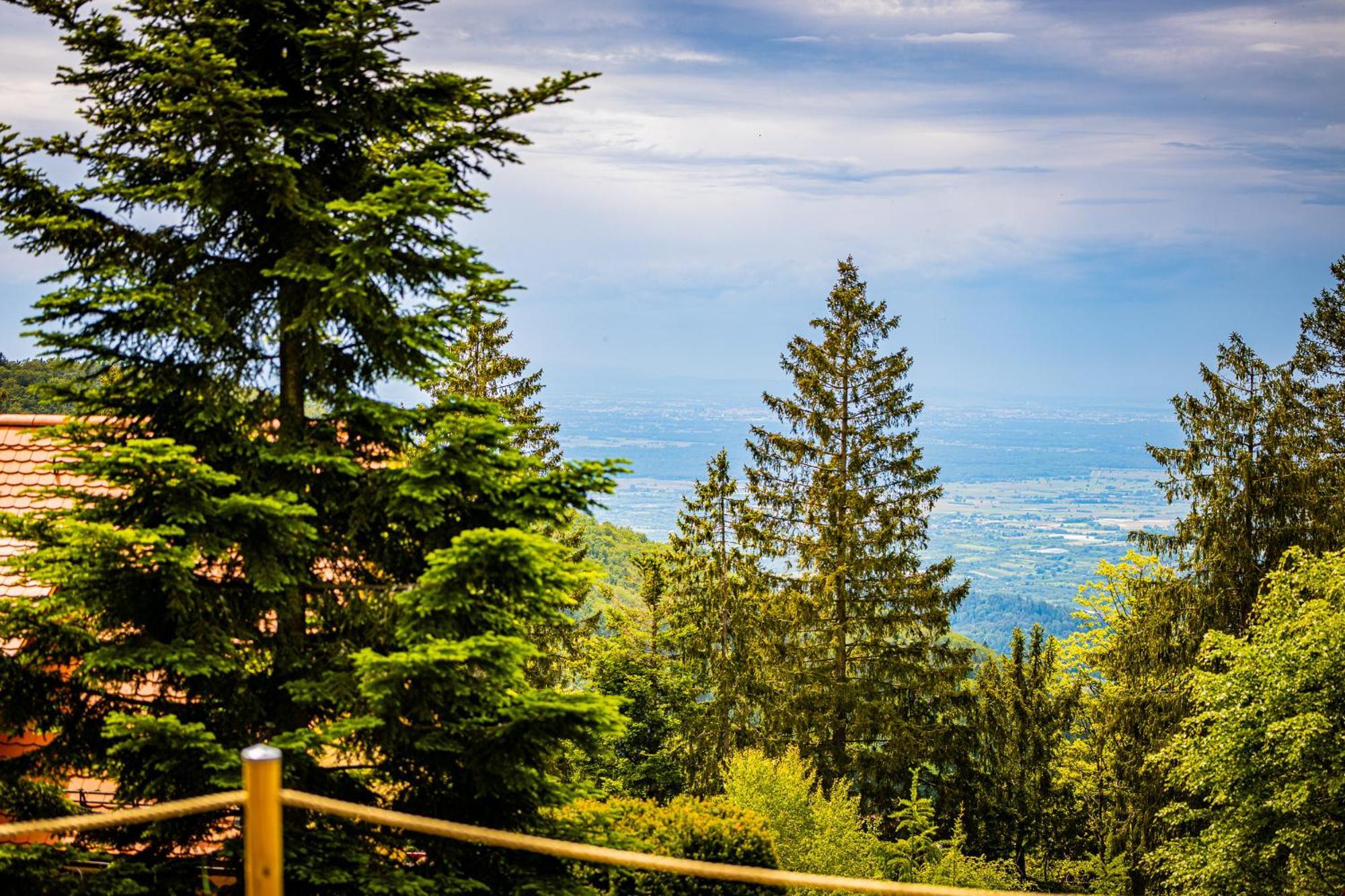 Sonnenhaeusle - Natur. Fernblick. Panorama-Sauna. Sasbachwalden Dış mekan fotoğraf