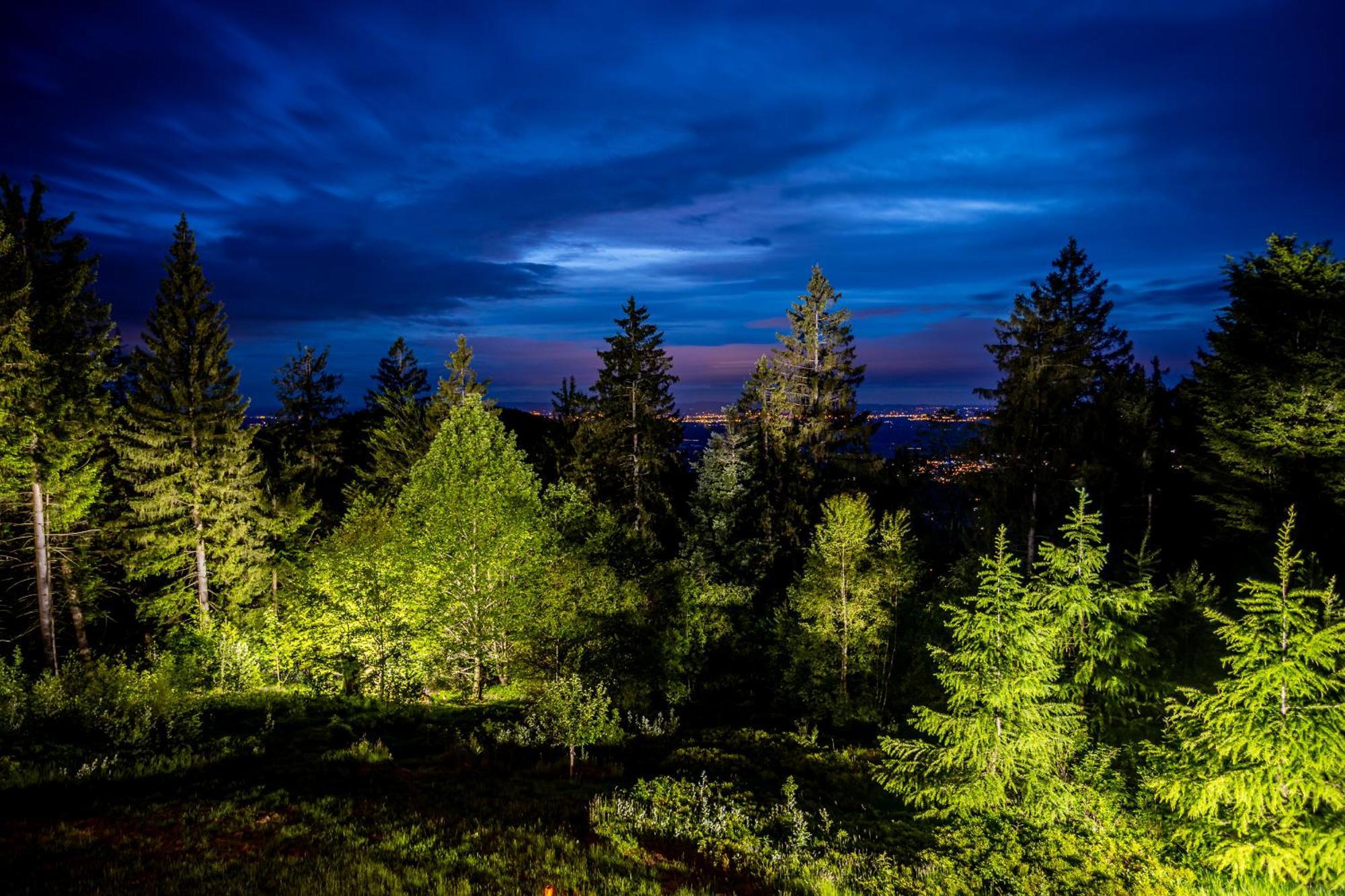 Sonnenhaeusle - Natur. Fernblick. Panorama-Sauna. Sasbachwalden Dış mekan fotoğraf