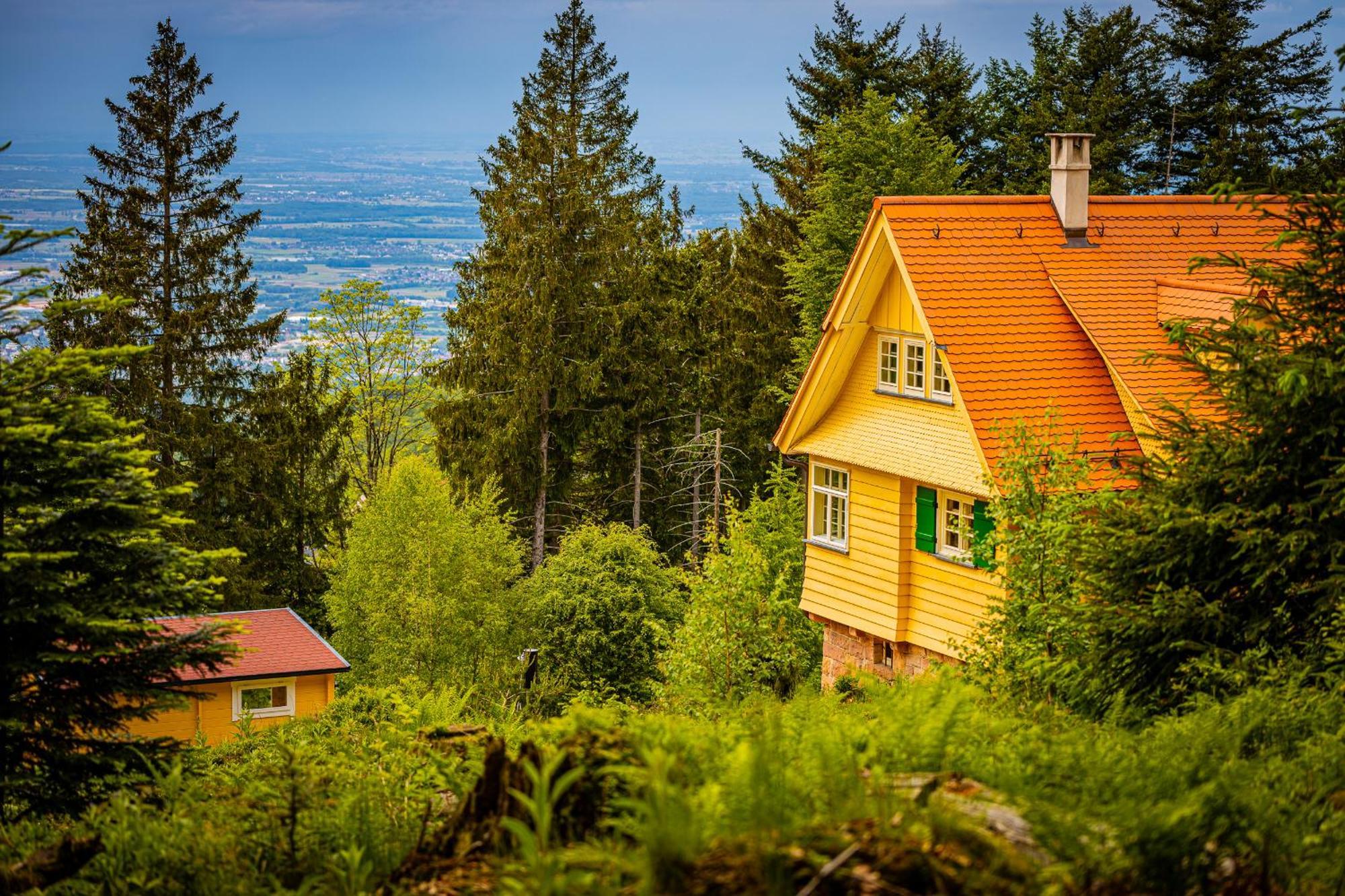 Sonnenhaeusle - Natur. Fernblick. Panorama-Sauna. Sasbachwalden Dış mekan fotoğraf