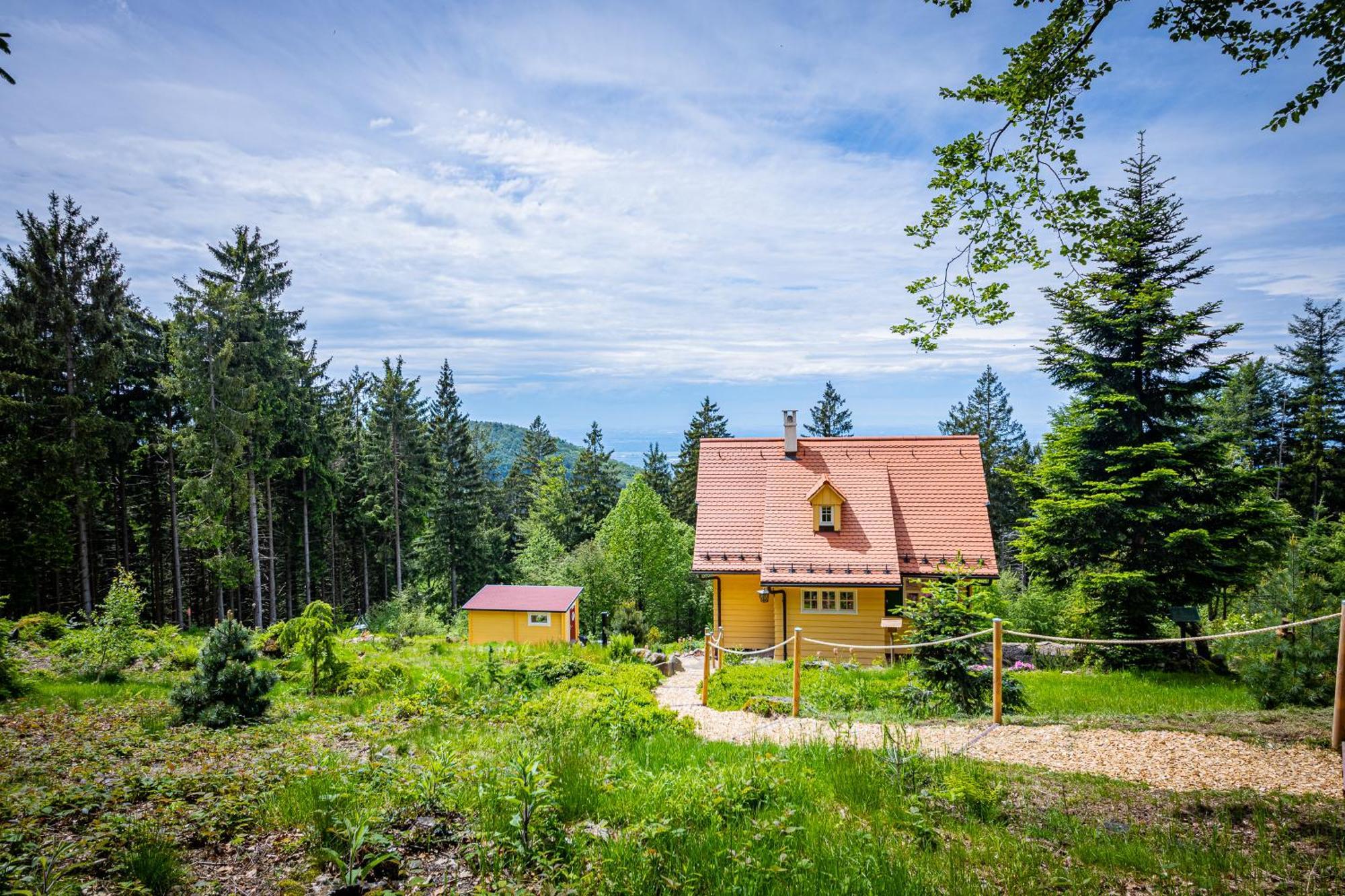 Sonnenhaeusle - Natur. Fernblick. Panorama-Sauna. Sasbachwalden Dış mekan fotoğraf