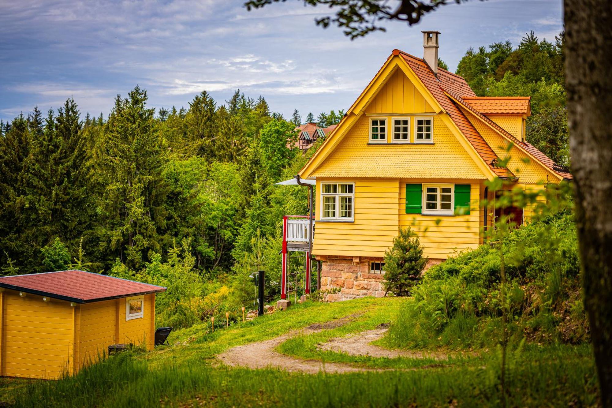 Sonnenhaeusle - Natur. Fernblick. Panorama-Sauna. Sasbachwalden Dış mekan fotoğraf