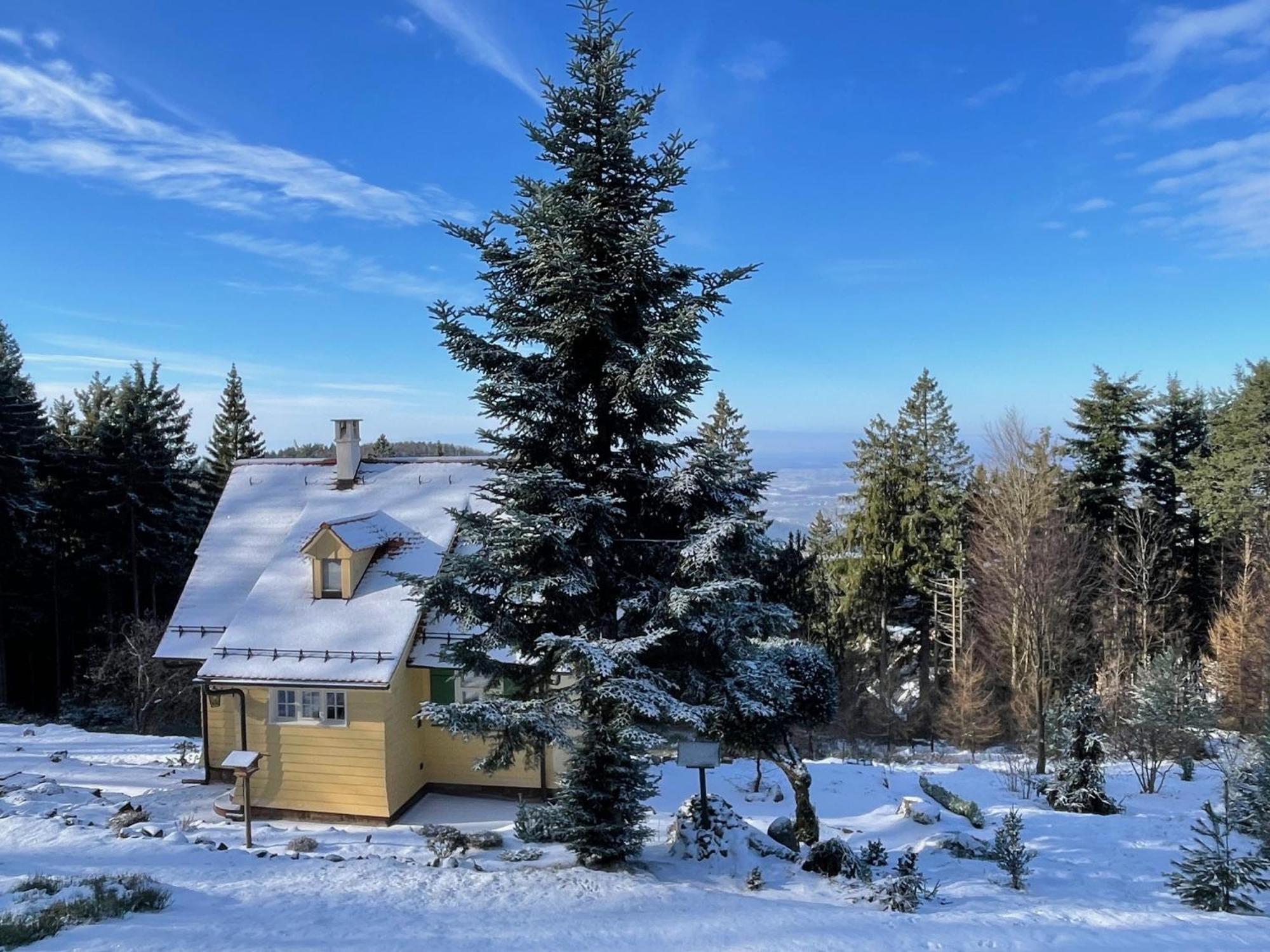 Sonnenhaeusle - Natur. Fernblick. Panorama-Sauna. Sasbachwalden Dış mekan fotoğraf